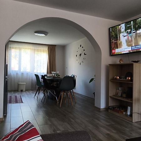 Apartamento Casa Cerbului Vişeu de Sus Exterior foto