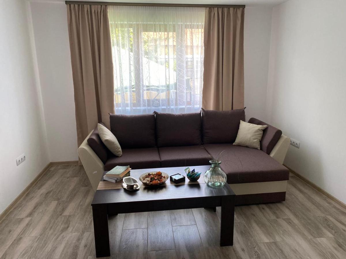 Apartamento Casa Cerbului Vişeu de Sus Exterior foto