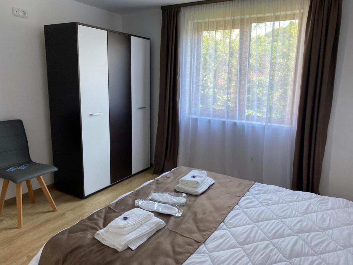 Apartamento Casa Cerbului Vişeu de Sus Exterior foto
