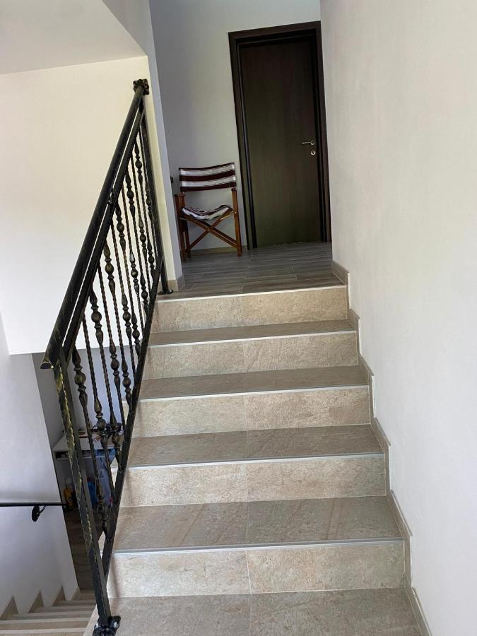 Apartamento Casa Cerbului Vişeu de Sus Exterior foto