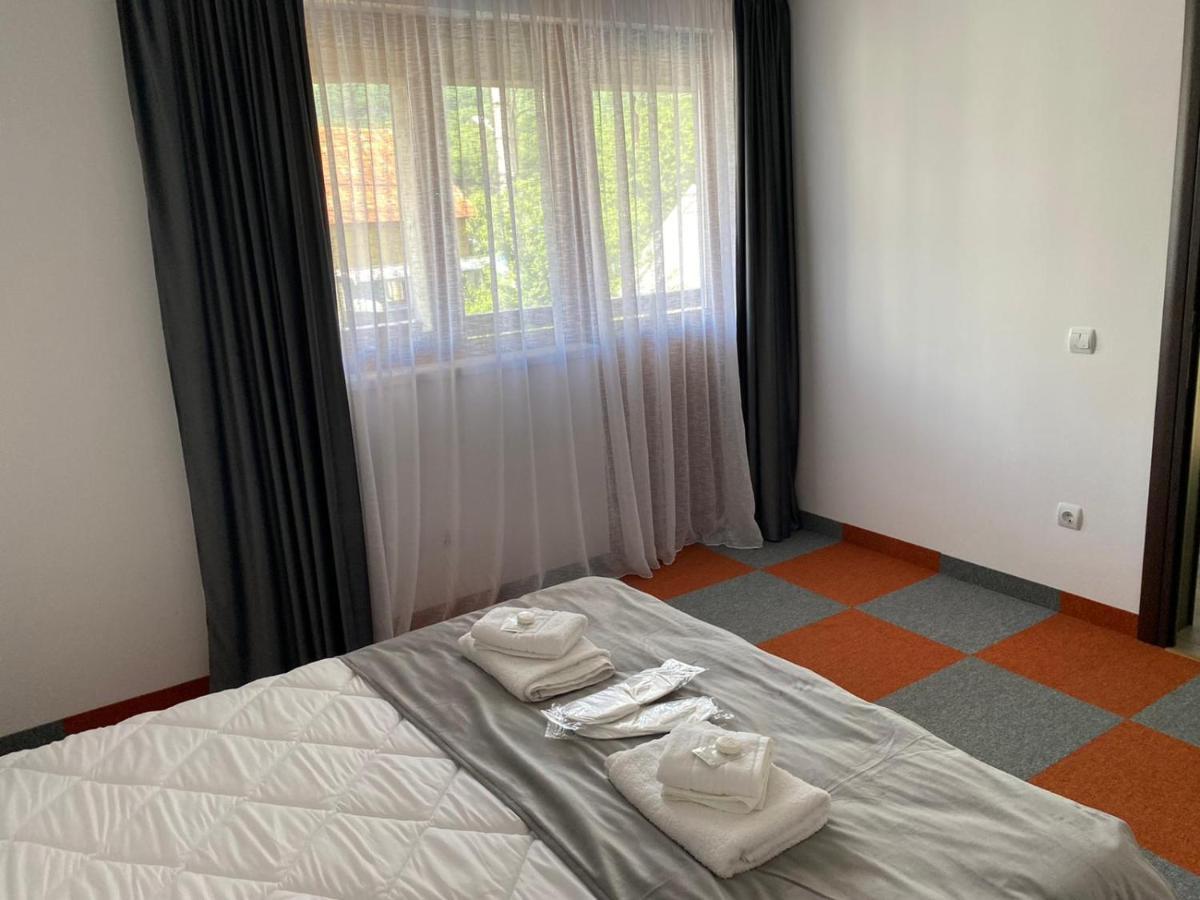 Apartamento Casa Cerbului Vişeu de Sus Exterior foto