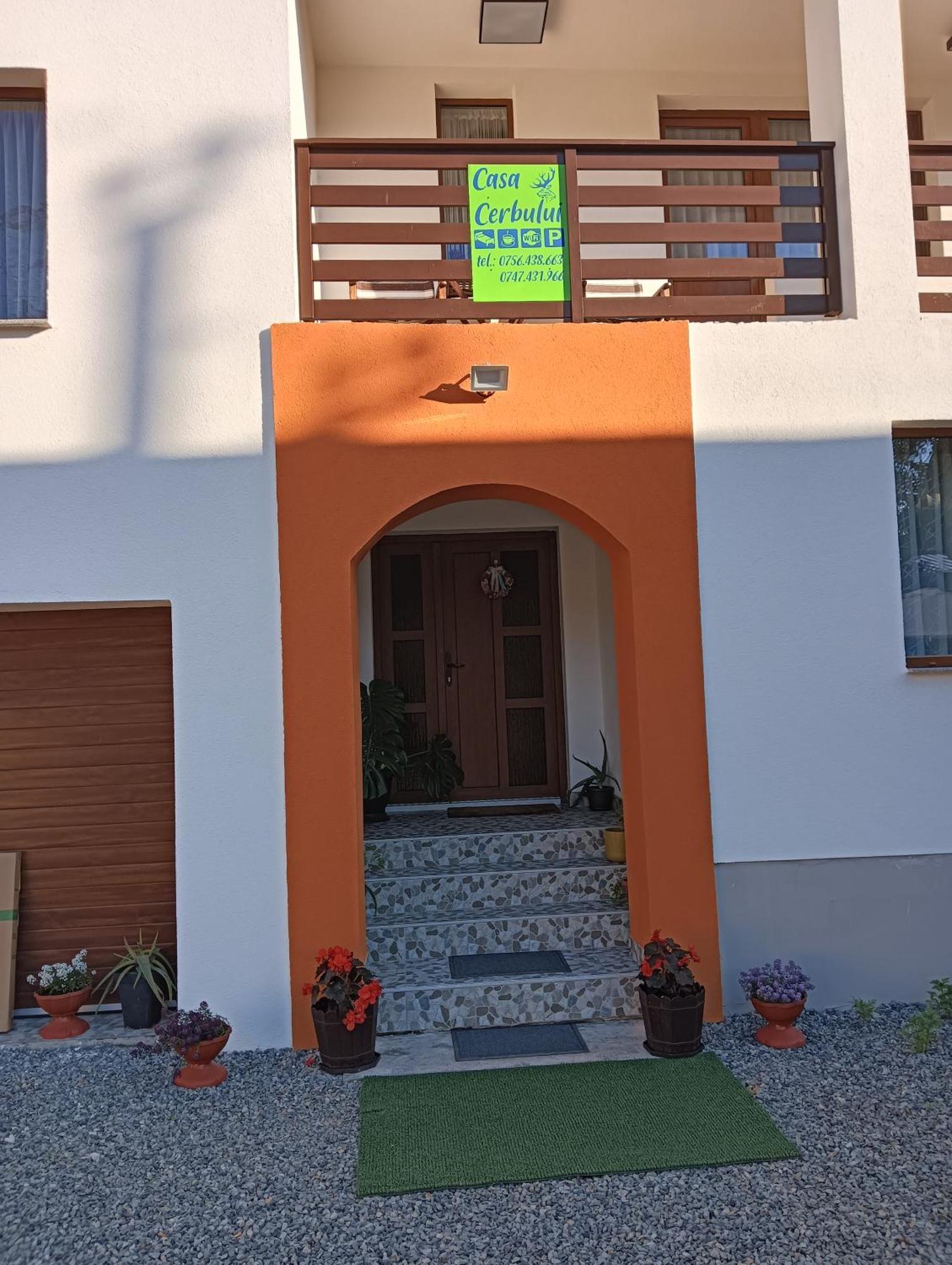 Apartamento Casa Cerbului Vişeu de Sus Exterior foto